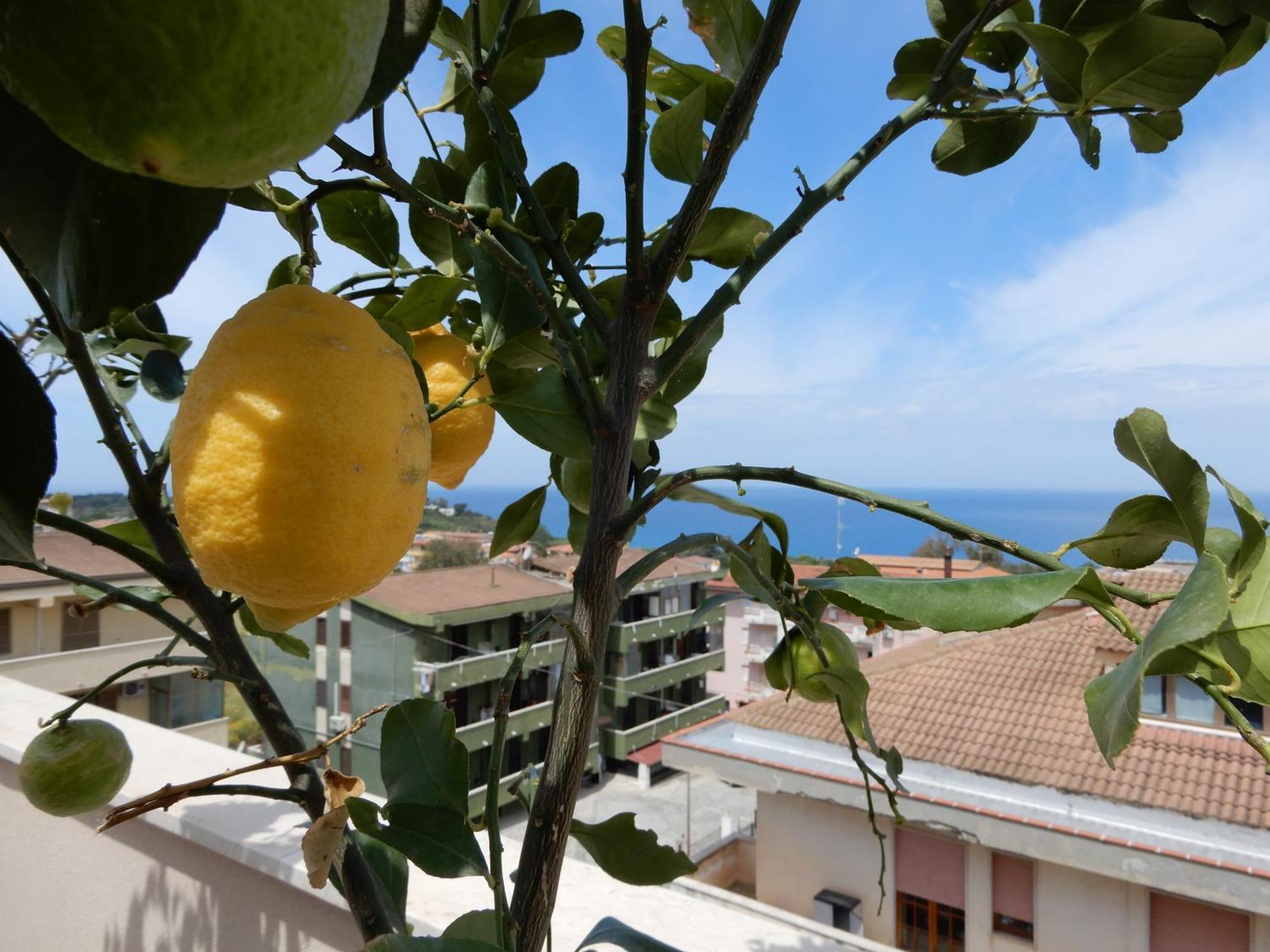 Middle Town Palace Tropea Buitenkant foto